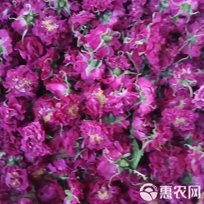 玫瑰花茶 平阴玫瑰花冠