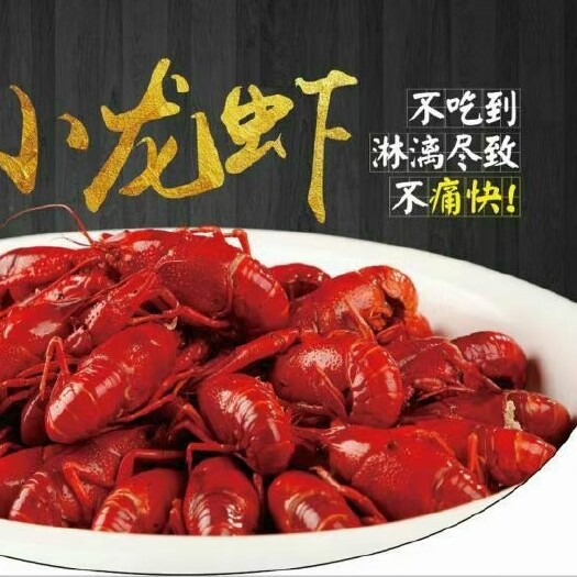 北京小龙虾