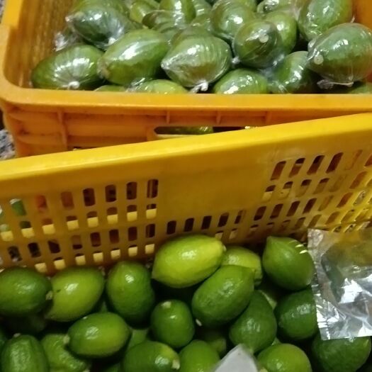 阳春市香水柠檬