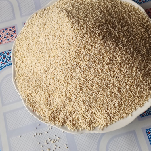 白小米 农家最早一种主食 产量很低 但口感非常好 光滑细腻
