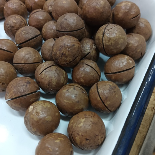 杭州夏威夷果，纯南非夏威夷果，壳薄，仁白，奶味四溢