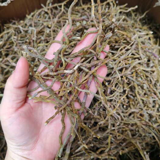 文山市铁皮石斛  石斛干条 全化渣  胶质好
