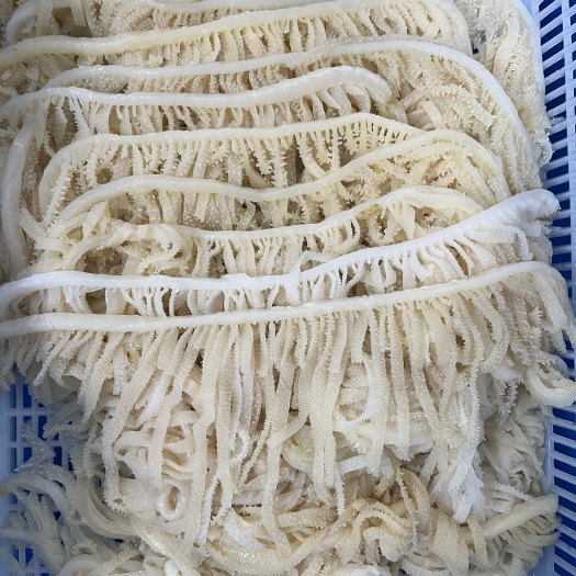 成都水发白千层  牛百叶 毛肚千层
