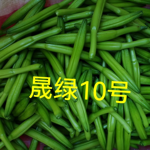 新泰市鲜黄花菜