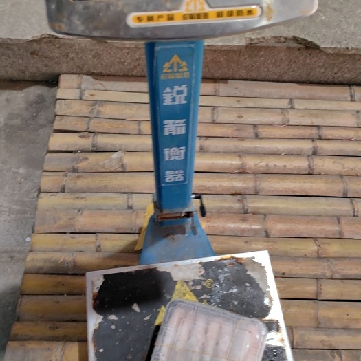 温岭市深海鳌虾