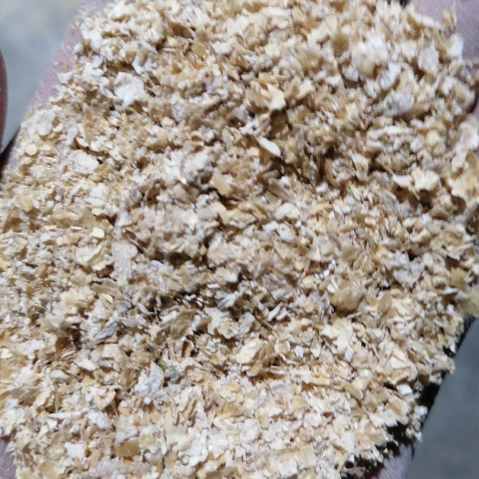 昌乐县麦麸  优质麸皮、次粉销售