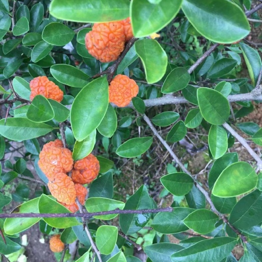 永泰县穿破石