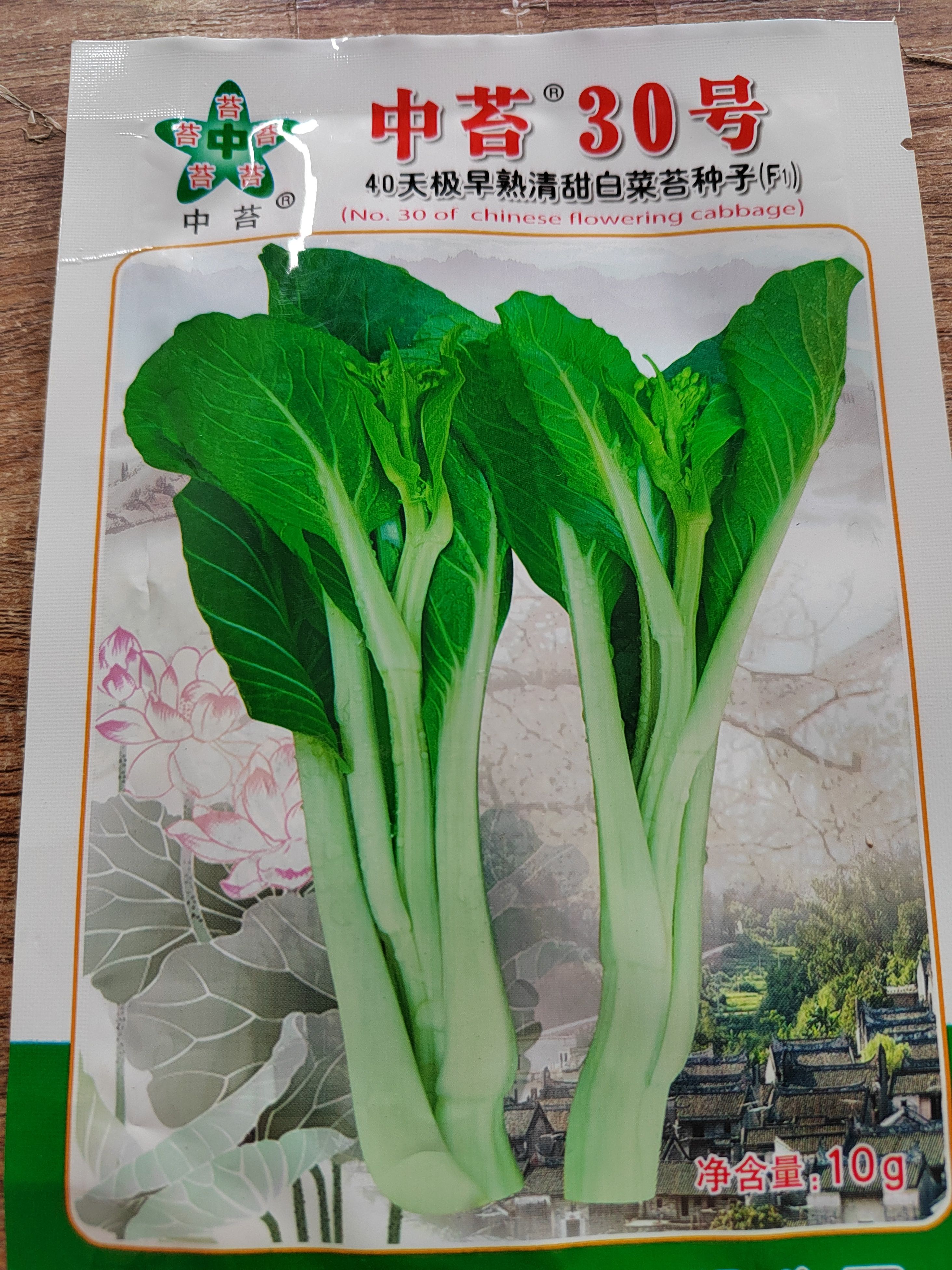 南宁早熟白菜苔，40天早熟甜脆白菜苔，可连续采收，抗热耐湿适应广