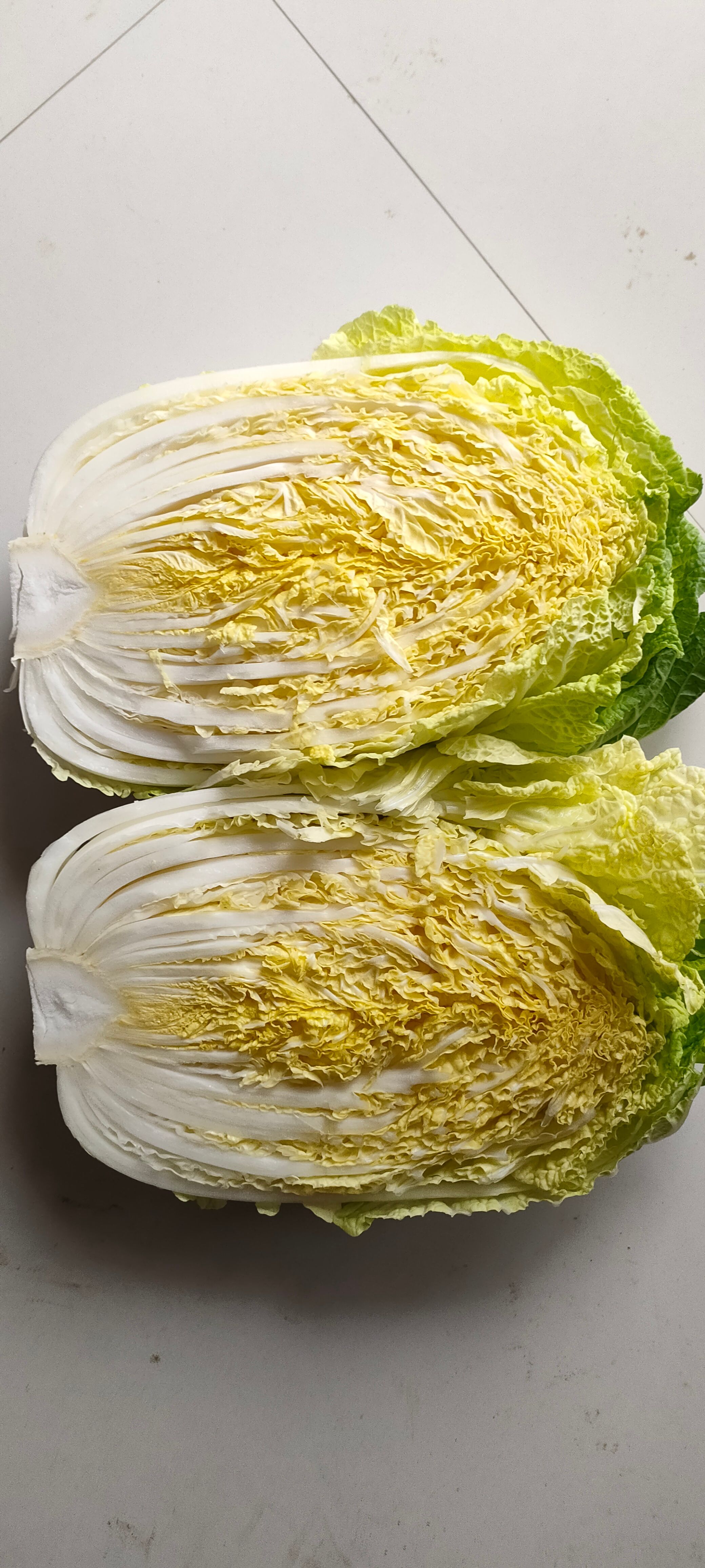 白菜种子黄心白菜种子中棵型白菜早熟，抗病，心黄口感好耐储运