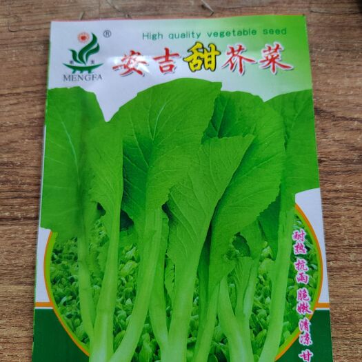 南宁儿菜种子  安吉芥菜种子 芥菜种子甜芥菜本地芥菜青菜种子四季