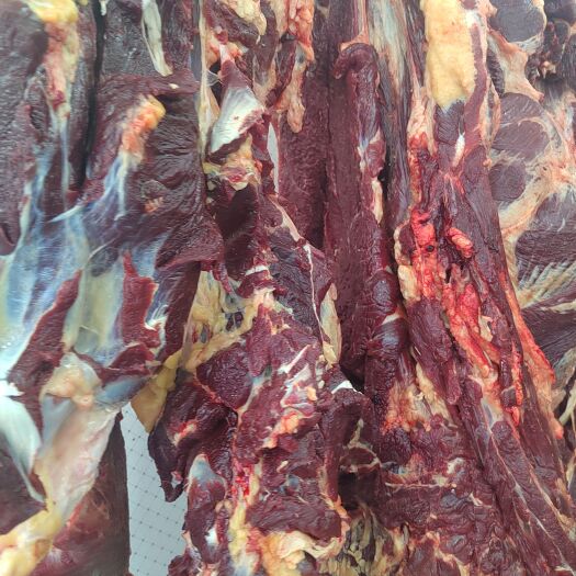 天祝县牦牛肉