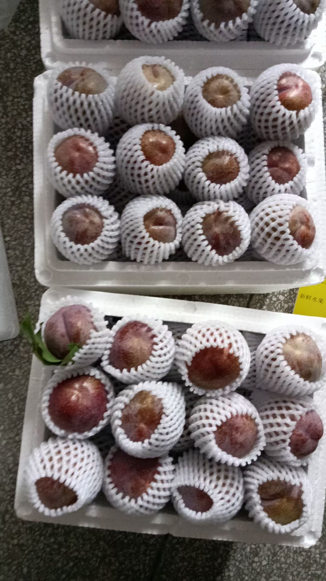 精选信宜钱排银妃三华李，好发货时期，产地直邮