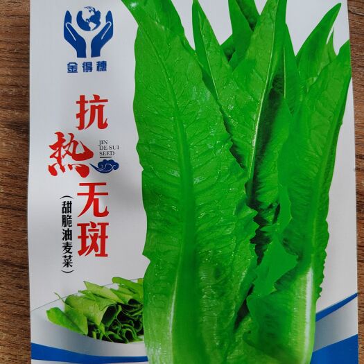 南宁抗热，耐寒，香油麦菜，全年可以种植，适应性强，口感脆甜！