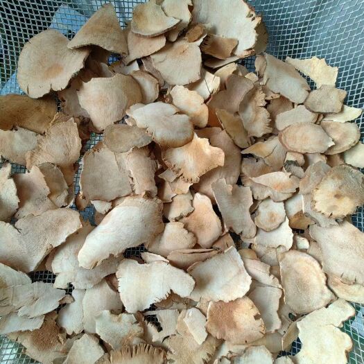昆明粉质土茯苓