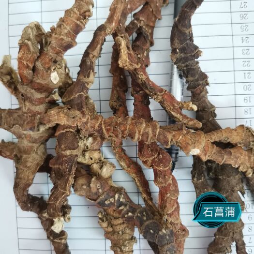 阳春市石菖蒲