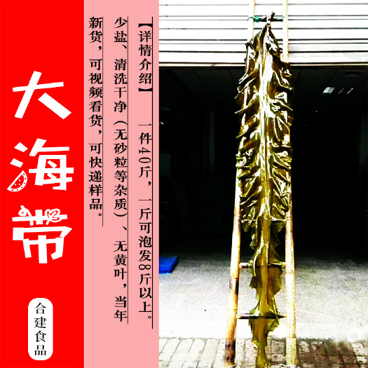 山东大海带