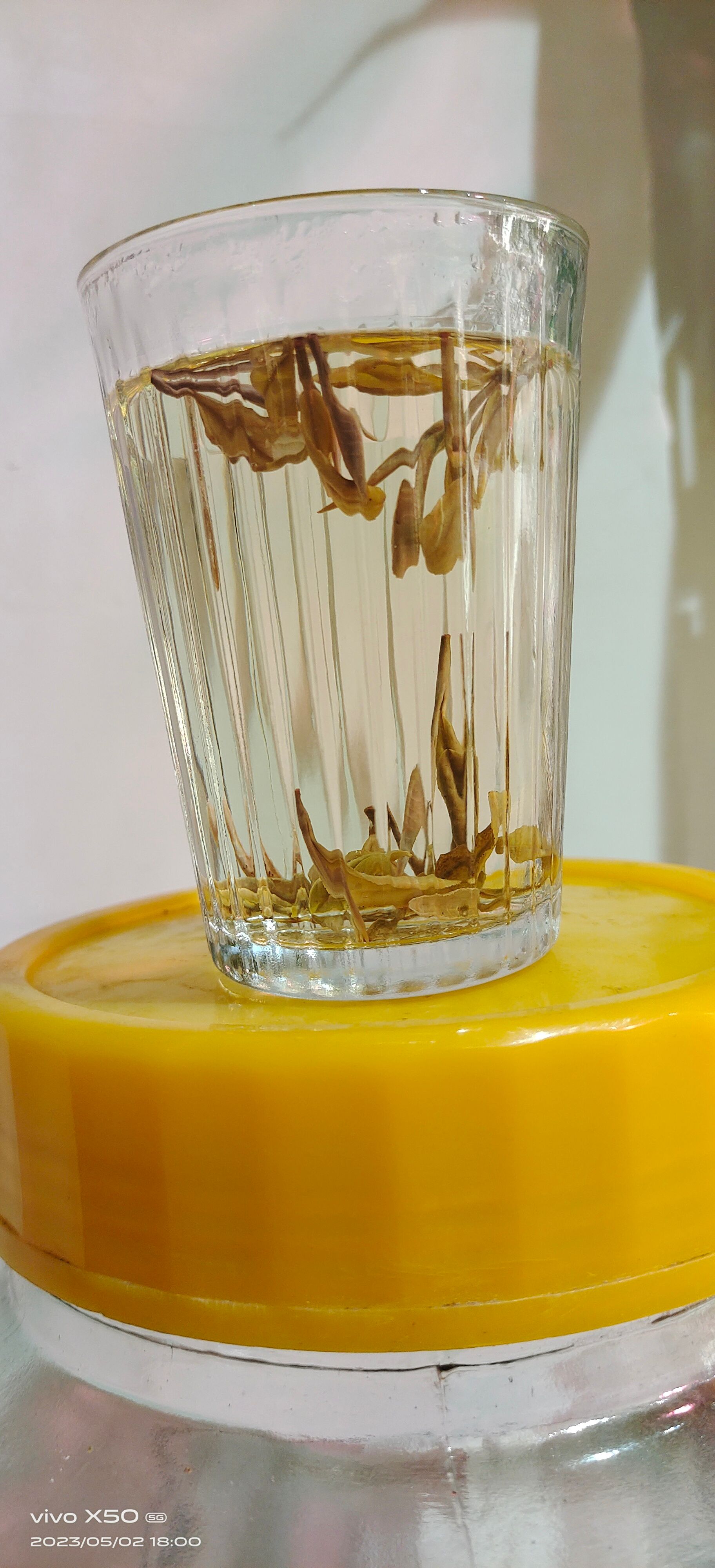 开春黄金茶