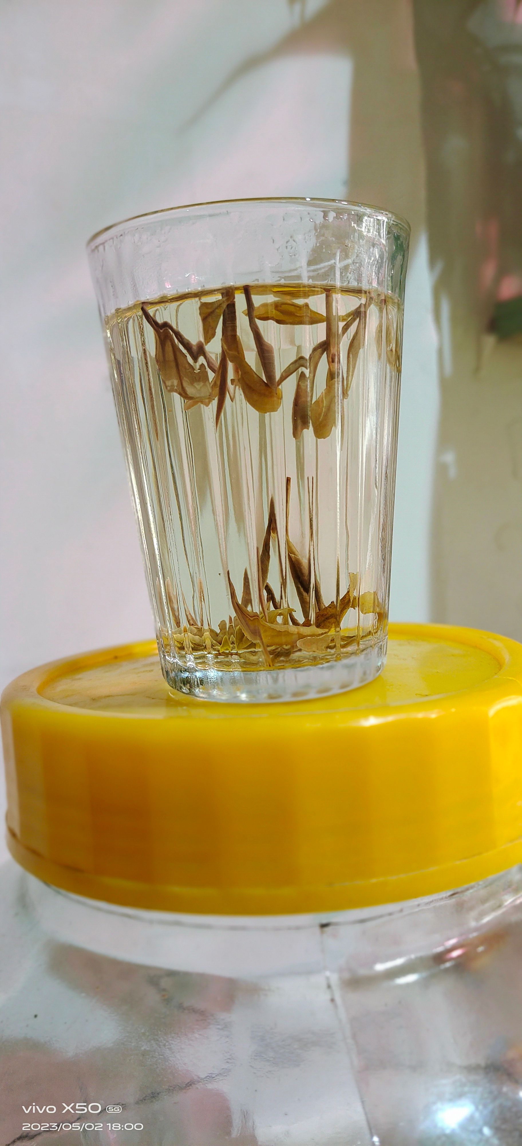 开春黄金茶