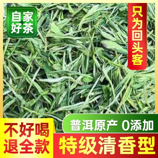 2023新茶云南普洱特色产区源头直销头春芽尖浓香型滇绿茶散装