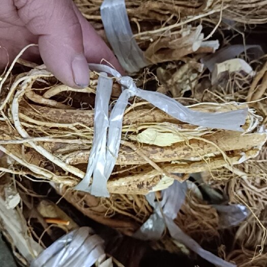 宁德五指毛桃根小扎把