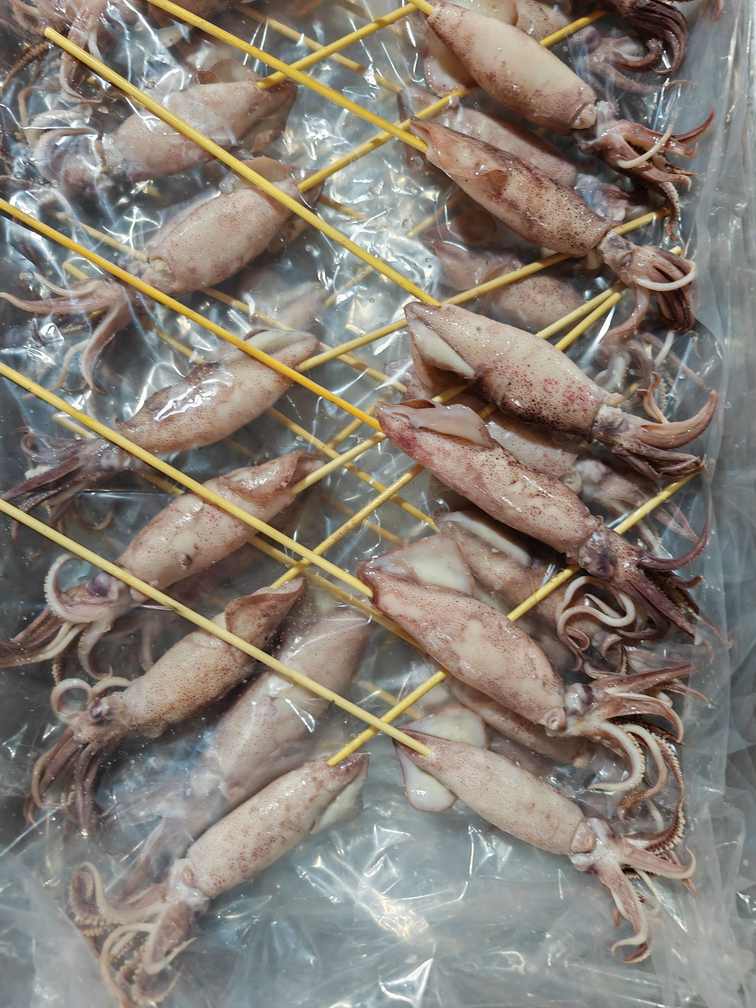 广州串串鲜双吊鱿鱼串铁板烧烤油炸海鲜商用冷冻半成品尤鱼串海兔