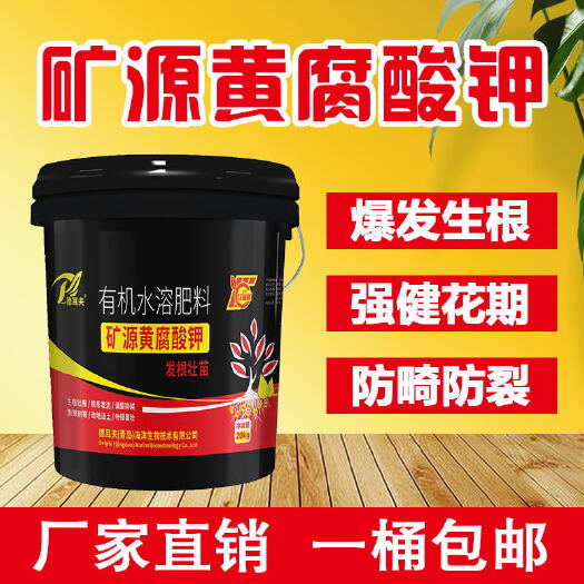 青州市生根膨果桶装冲施肥矿源黄腐酸钾有机水溶肥高钾蔬菜水果肥料通用