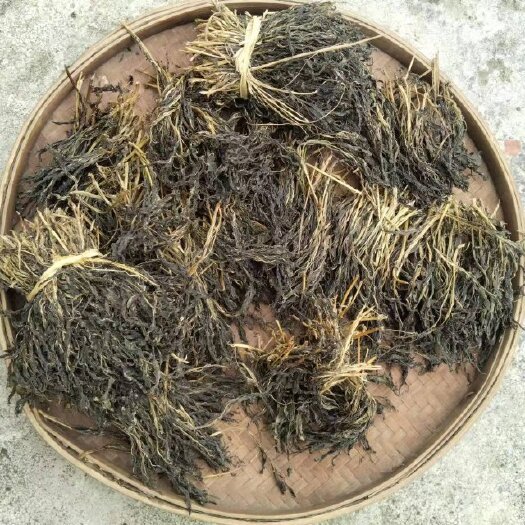 连州市农家苦菜婆干