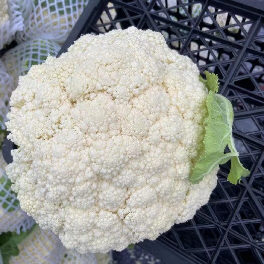 通许县精品花菜蔬菜基地严选直供
