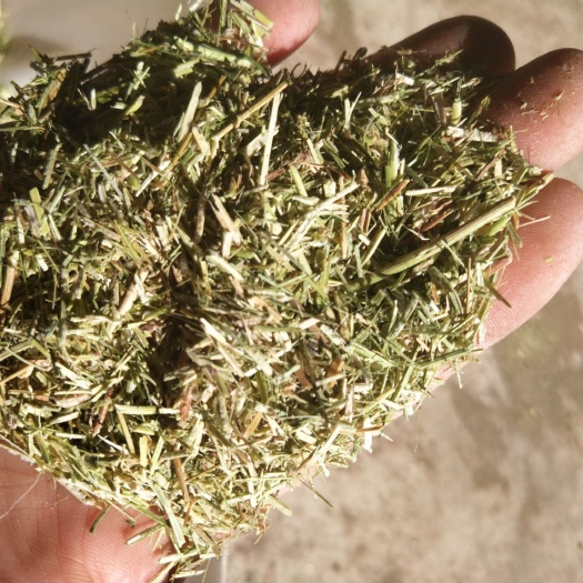 鄂温克旗苜蓿草颗粒，苜蓿草粉，