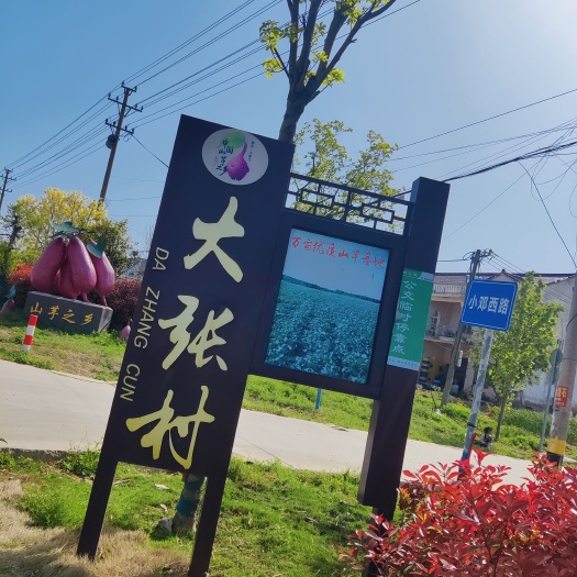 泗县安徽省泗县山芋之乡脱毒红薯苗