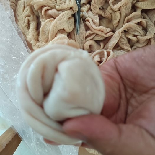 精品纯无油，精品纯无油，鲜货，非冻货，非市场通货，冷链冷藏发