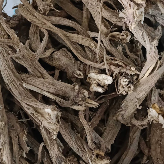 贵阳续断，烘干条子，去头