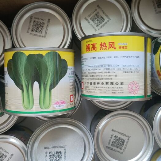 聊城青梗菜德高热风青梗菜耐热抗病优质丰产叶片大平展叶柄翠绿