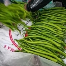 兰陵县精品8号黄线大量上市