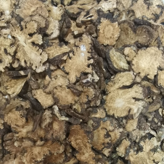 成都川芎各种各样规格