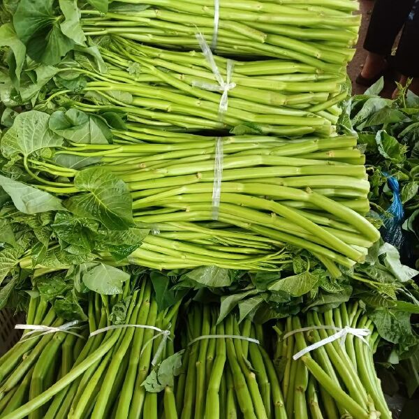 新鲜大杆空心菜通心菜空筒菜