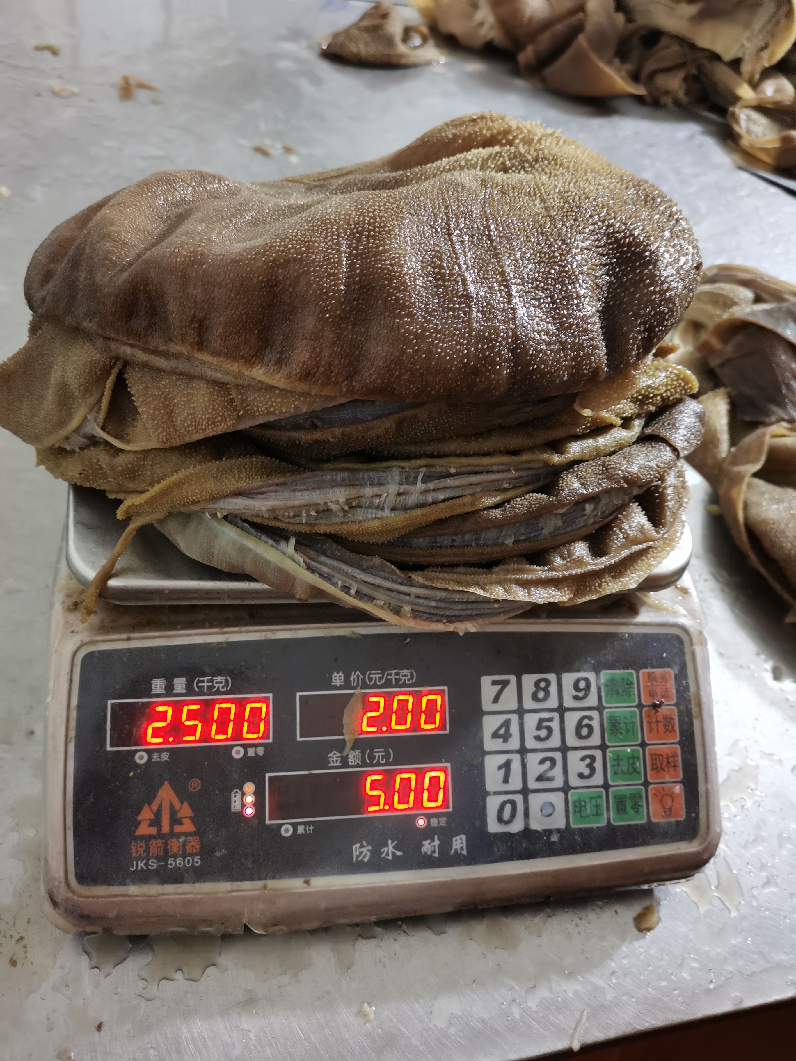 黄牛大叶片5斤起发苗富毕老妞火锅食材