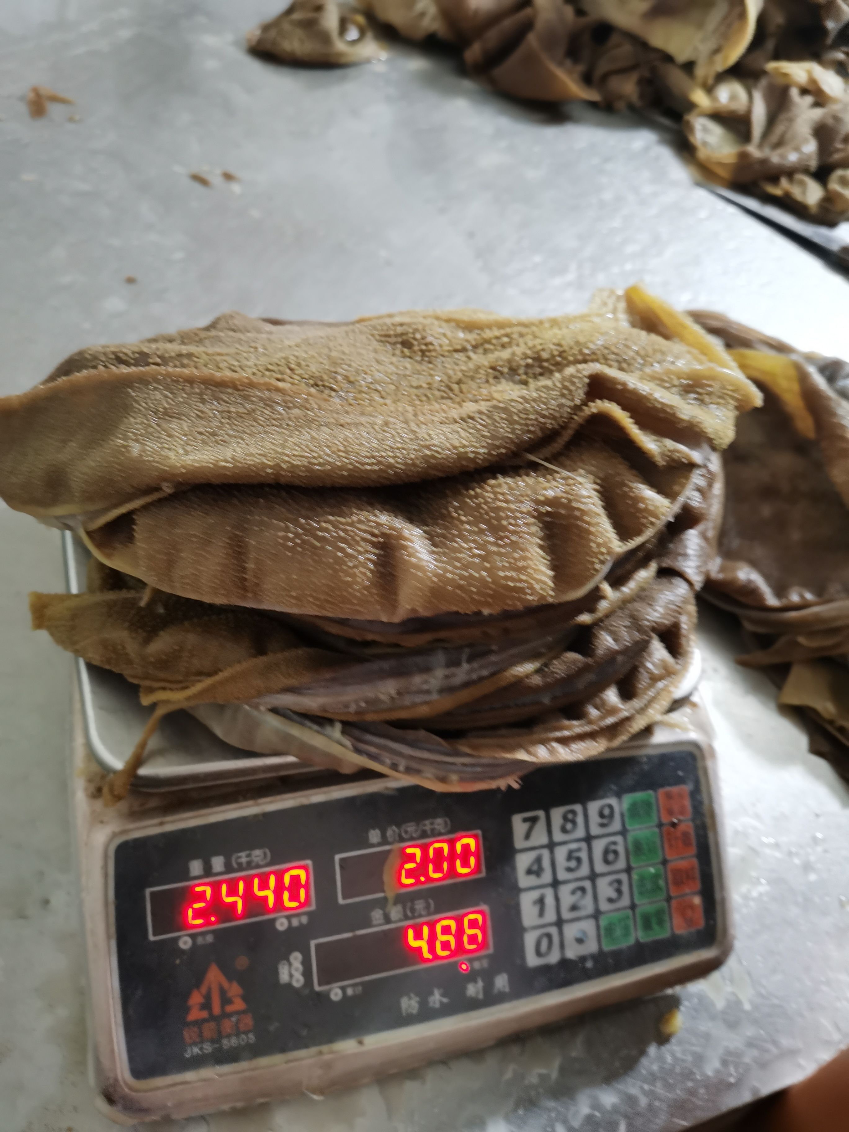 黄牛大叶片5斤起发苗富毕老妞火锅食材