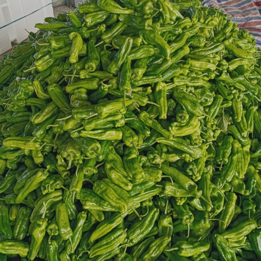 兰陵县泡椒