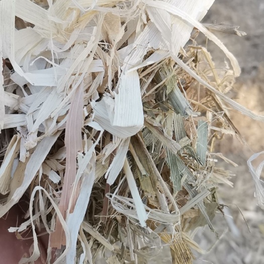 社旗县干玉米秸秆