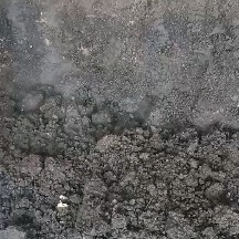 渭南有机肥纯羊粪