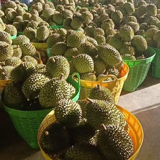 凭祥市越南干绕