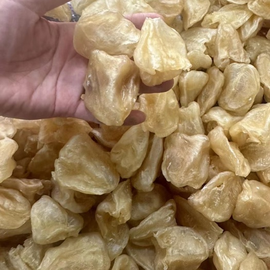 广州石鳘胶石斑胶花胶，多种规格，清水足干，厚肉价优，做工漂亮