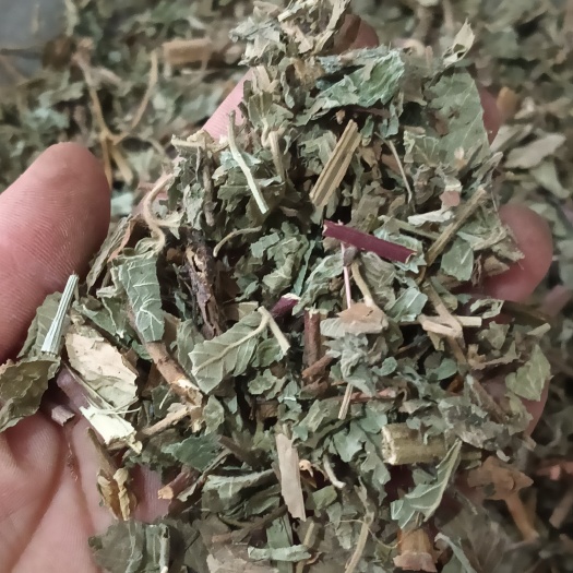 仙鹤草 现货供应 鲁赣中药材批发 产地一手货源 量大从优