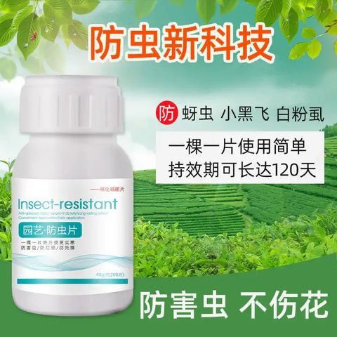 杭州家庭园艺防虫片防小黑飞蚜虫白粉虱小菜蛾飞虫家用花卉绿植多肉