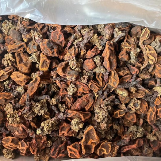 昆明回春草