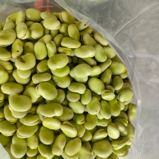 南通蚕豆米供商超   农贸市场  电商平台  单位  食堂