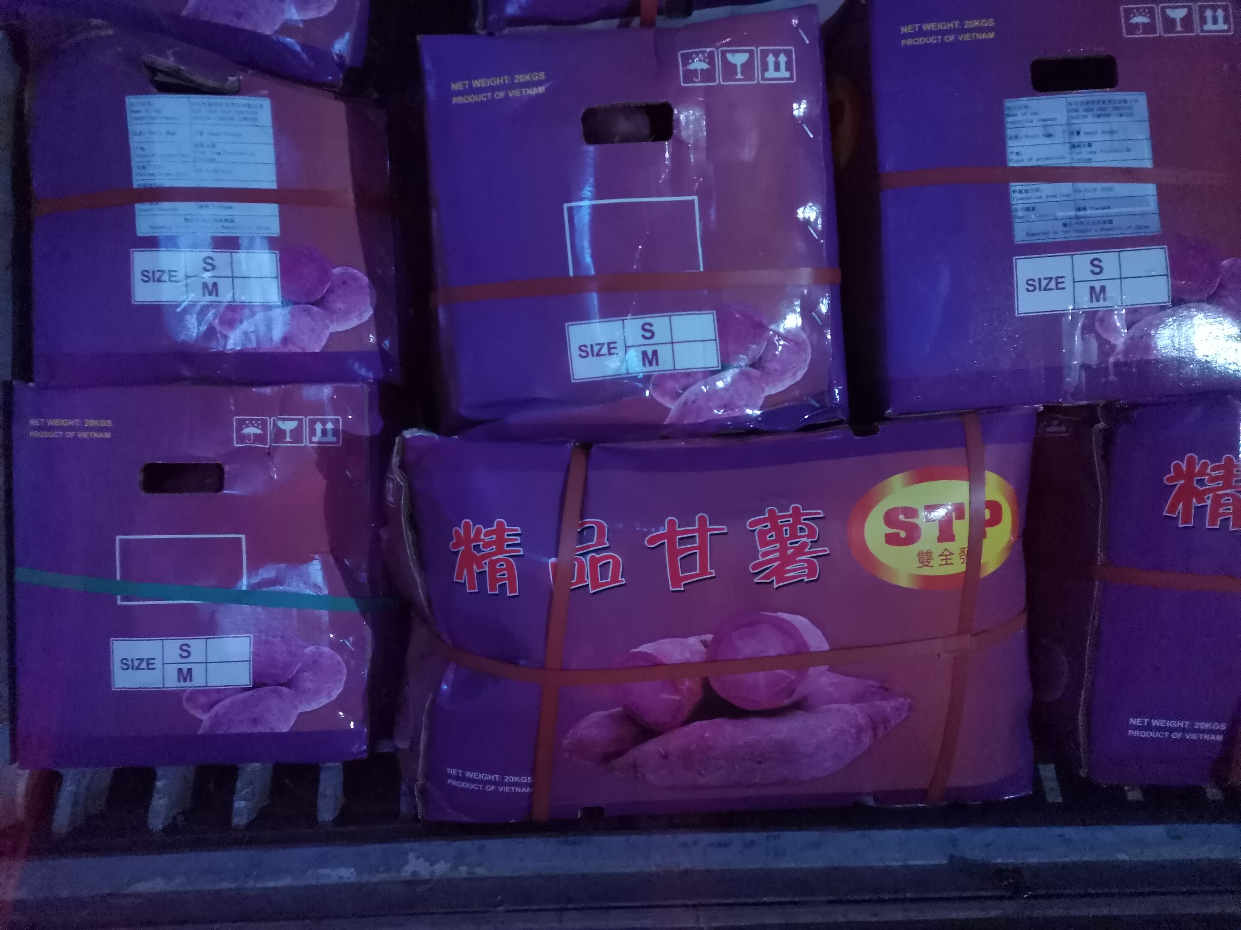 大量供应（越南紫薯）