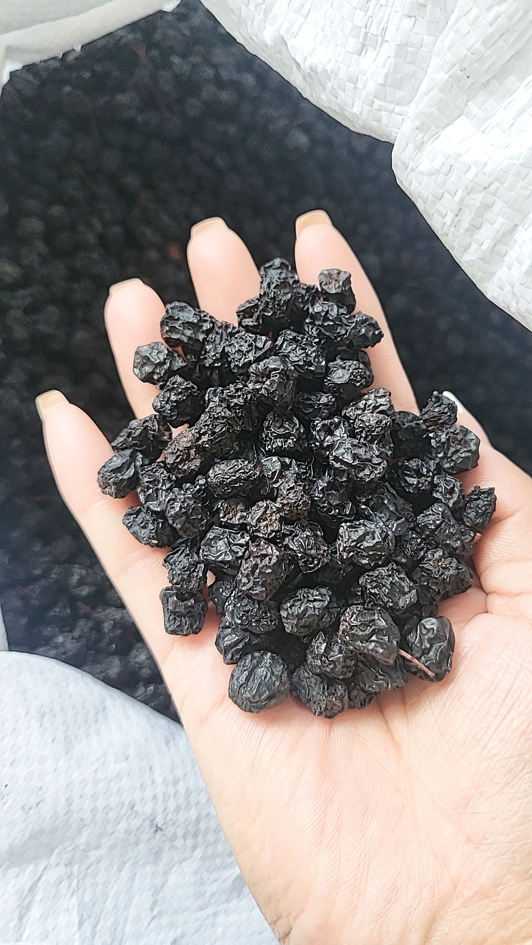 梨树县黑涩石楠果干 黑果花楸干果批发 绿色健康农产品
