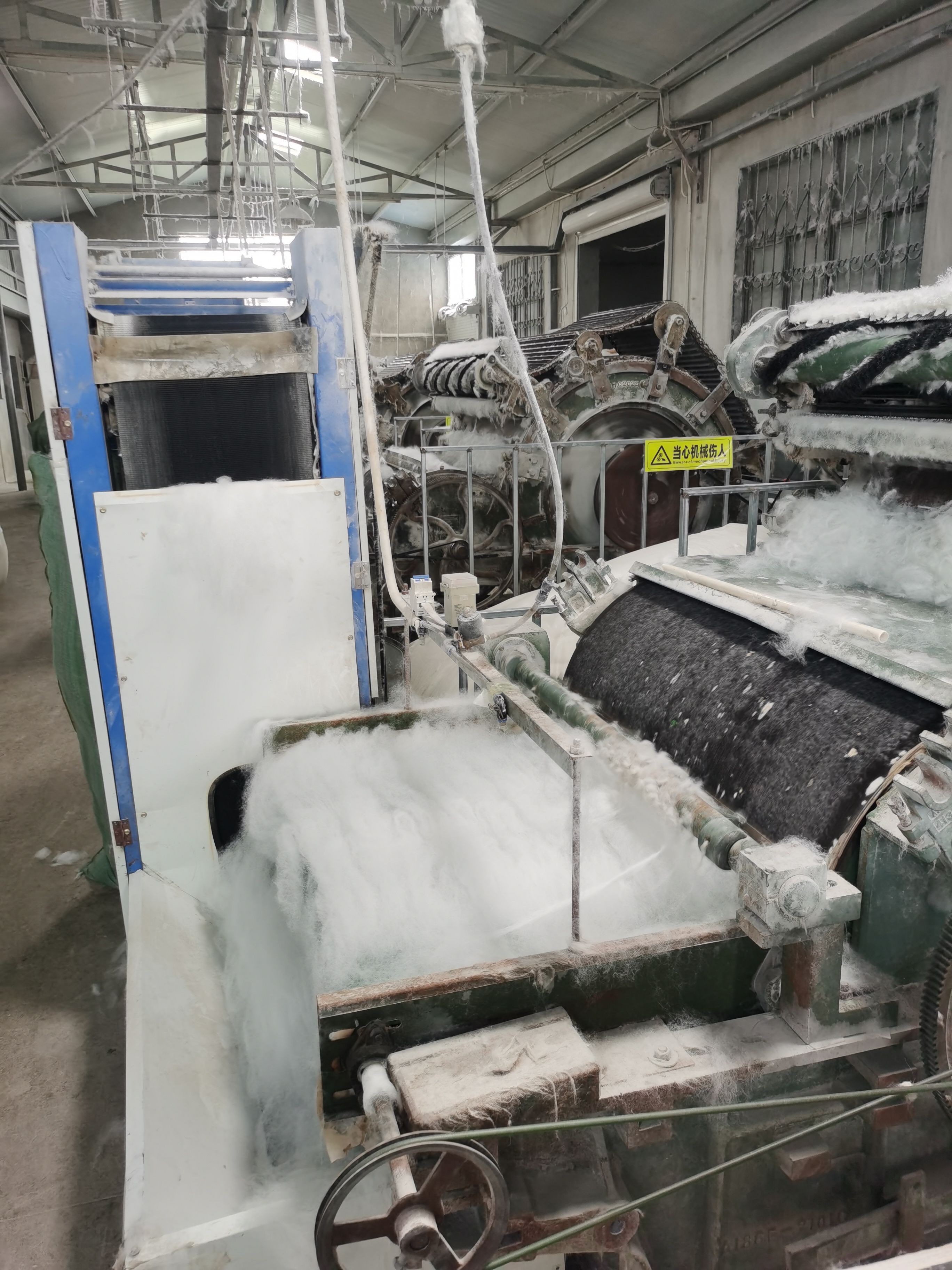 常年供应兔毛，手剪兔绒，剪中粗，等